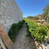 Magnífica Finca segregada en la zona de El Marquesado, Chiclana